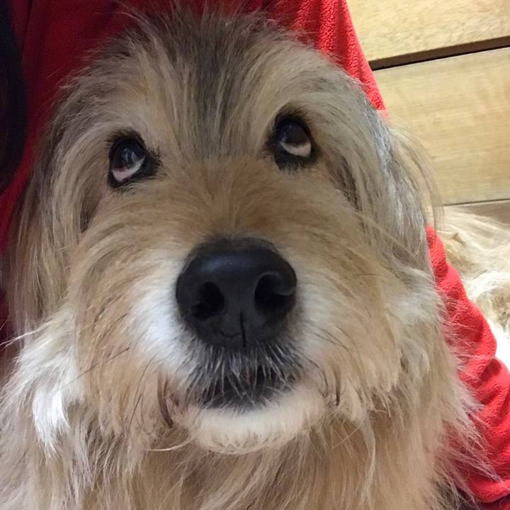 0abbca2a 2e1f 41a5 97b2 d9a35ac11d5f 1647514486839