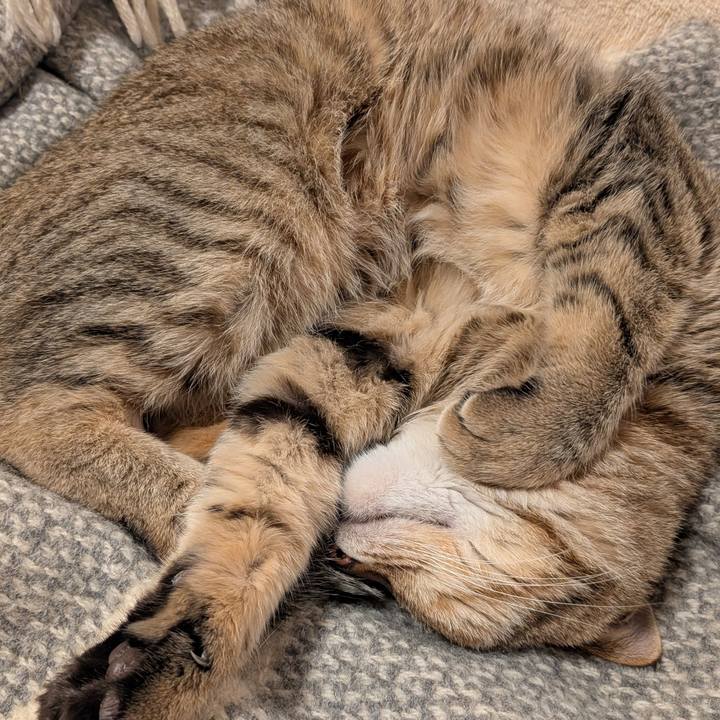 0abbeca5 7bf6 47d9 ac87 f2ec0ac0fa9f 1763938261866