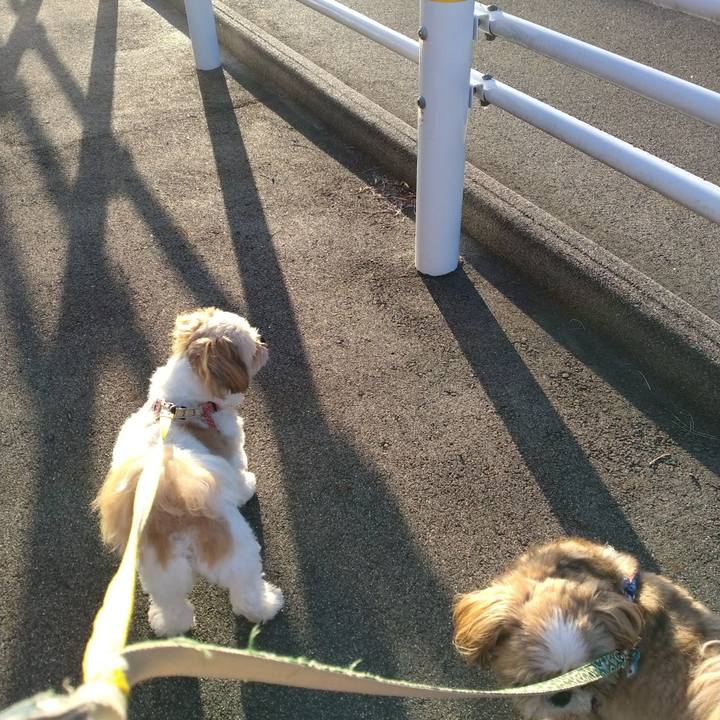 0abc0db7 1af9 441e b7f2 0d0696e4ea4c 1694180529430