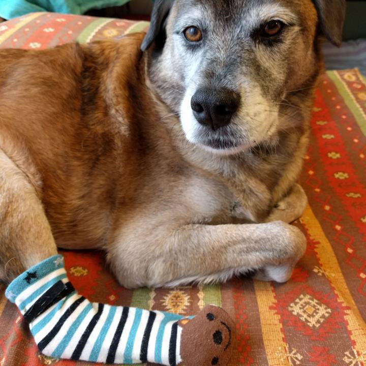 0abc6a5d 7a86 466b bb48 208bc421d1fb 1544661880021