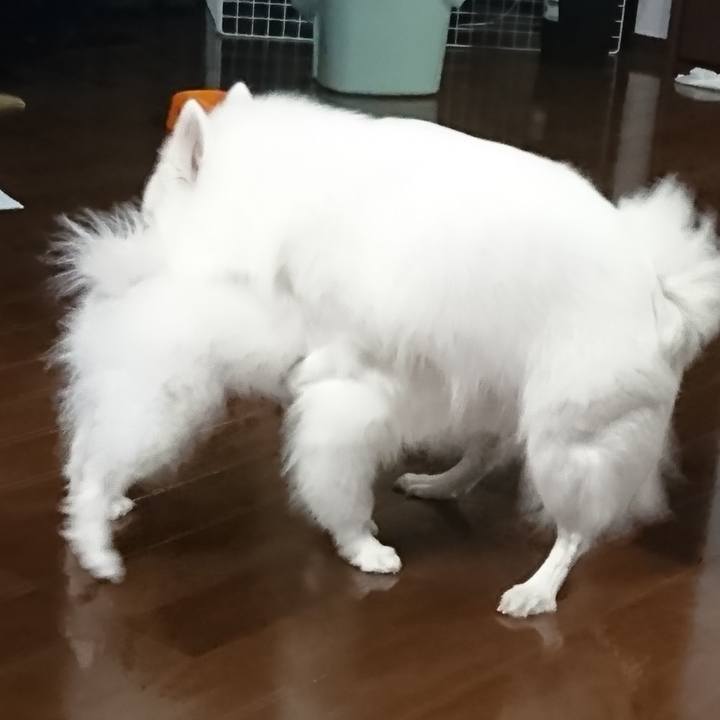 0abcb765 0a8f 4d9f b6bb d4856fa12ddd 1548692365776