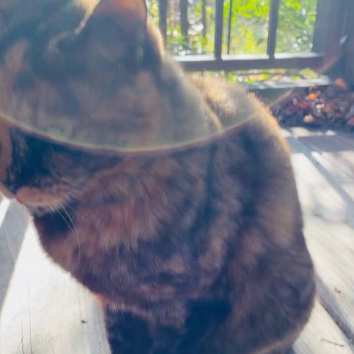 0abd0c32 12ca 451b b901 dfed47436f17 1765419423547