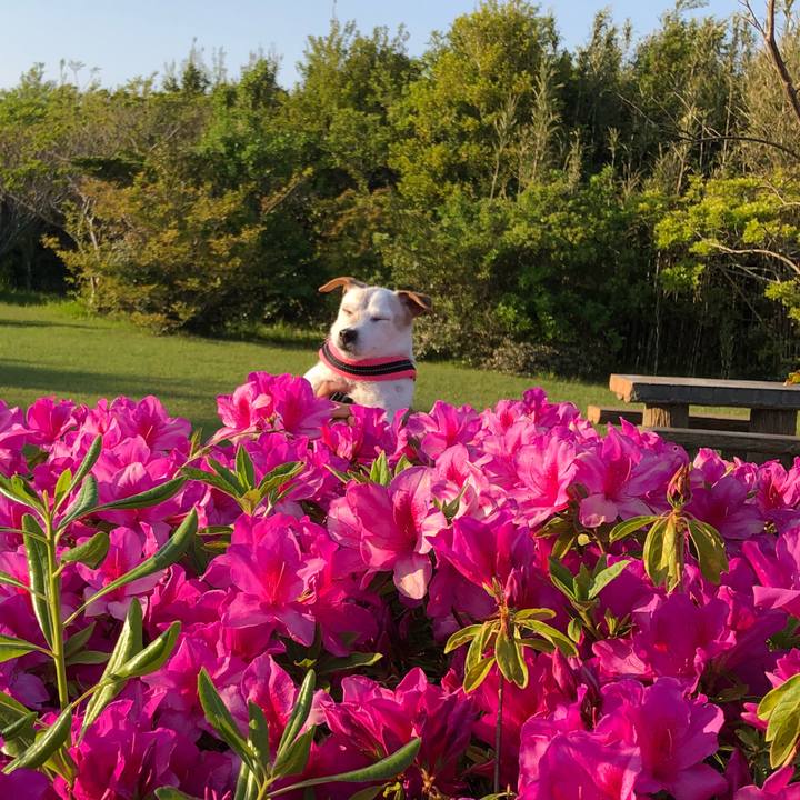 0abd1574 97ce 4162 a038 94ec26395560 1524356449917