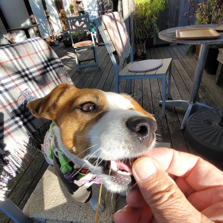 0abd2e46 afba 481c 8dbc a7a8e6f53551 1703242108156