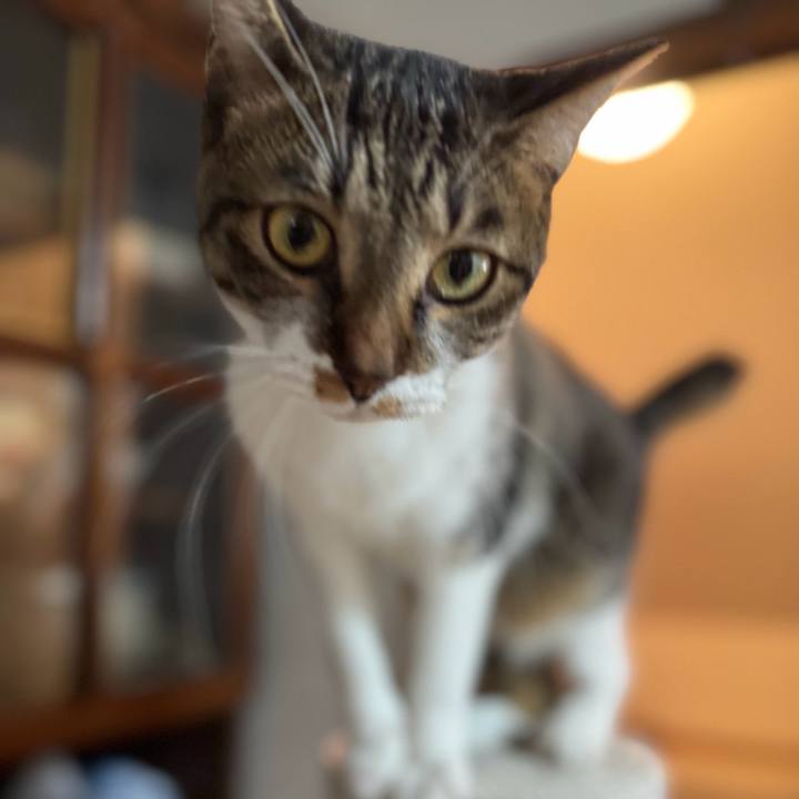 0abdc72f 2b46 4521 b10a ad4ed2b7f7fc 1736729725286