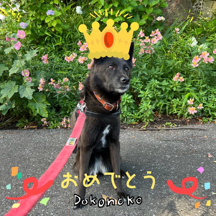 0abdf3fb b00c 4ae1 9e22 9f6e4a6afb58 1685942717849