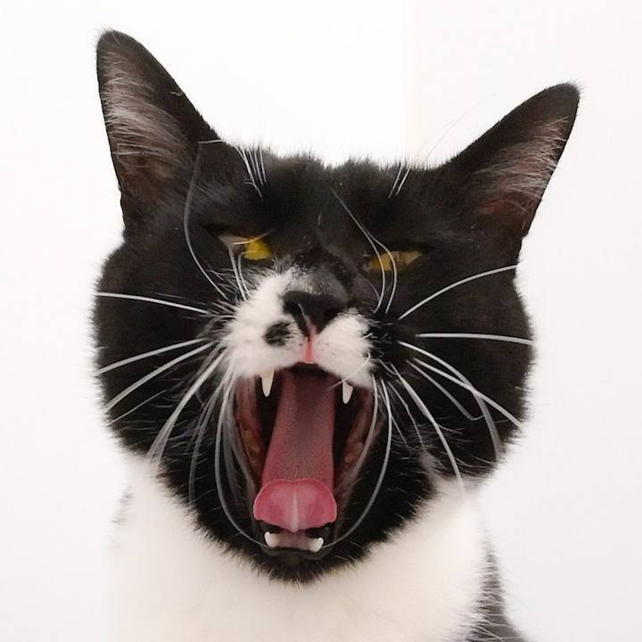 0abe0daa 5d7f 4bd5 9c18 e300fde9aa13 1545568305572