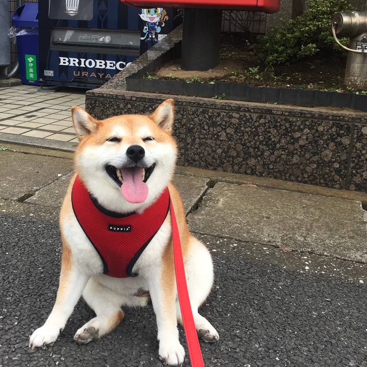 0abe117d 7edd 4b48 ba7d 977ab2403e58 1596096013410