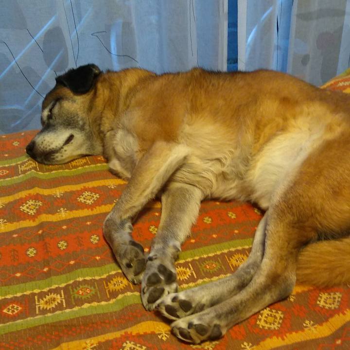 0abe1a9a e739 40da 9256 e2fcb54ed99f 1548368498961