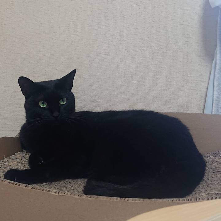 0abe2303 4aae 4b62 b583 2b7568581ce0 1665967980523