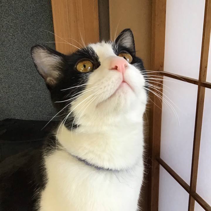 0abe5201 474e 4996 985b e2e38d80dafa 1644391674864