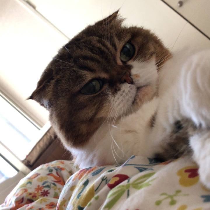 0abe7cbe cb62 450e 894f 44cd2313bd7f 1537320639539