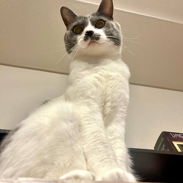 0abe9ca4 a771 4ad5 a876 37c4f0dc56f1 1668339766801