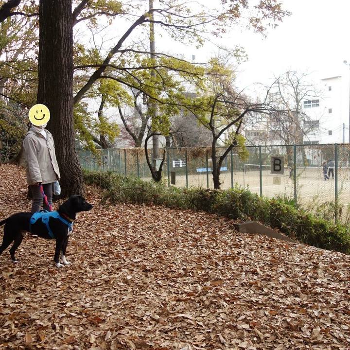 0abedc23 ce98 40a5 b565 7172bdbc1030 1607732082412