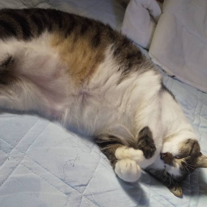 0abedca5 9cae 4204 aafe 68bb5812b54a 1665897735282