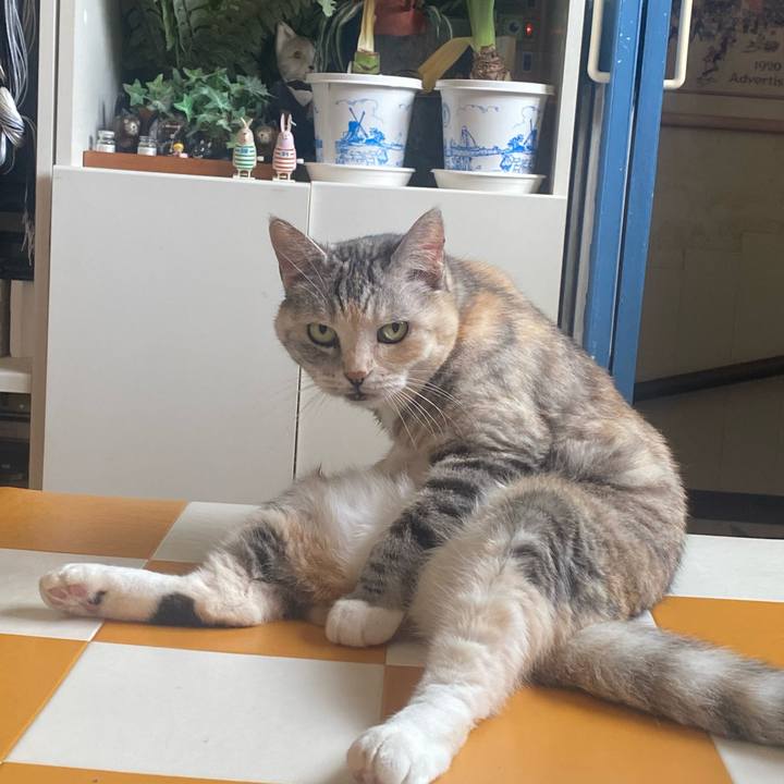 0abee041 f1a4 46e9 9525 607cd76adc46 1717826943132