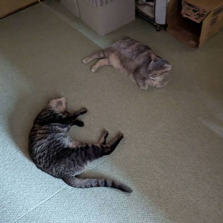 0abef167 2163 491e a69c c6b7e26b6209 1752996908905