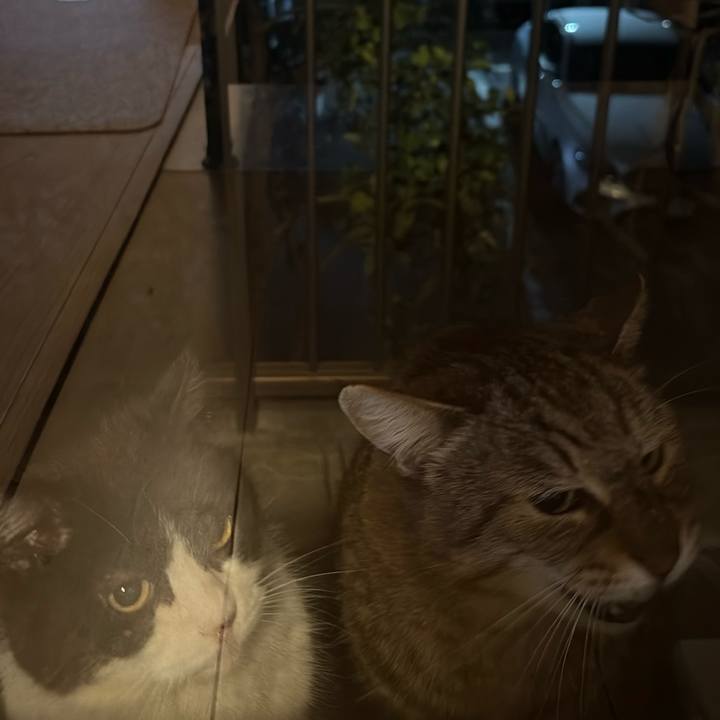 0abef71f c7d2 4d68 8abe 9dd4eadca12e 1773835242135