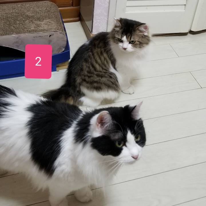 0abf1cc3 b0ed 44ca 8abf dcbab4728294 1569052276699