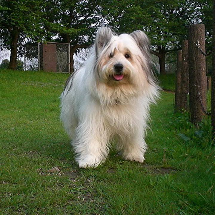 0abf382f 01f4 4fdc 935e a73f1267a4fa 1510234317672