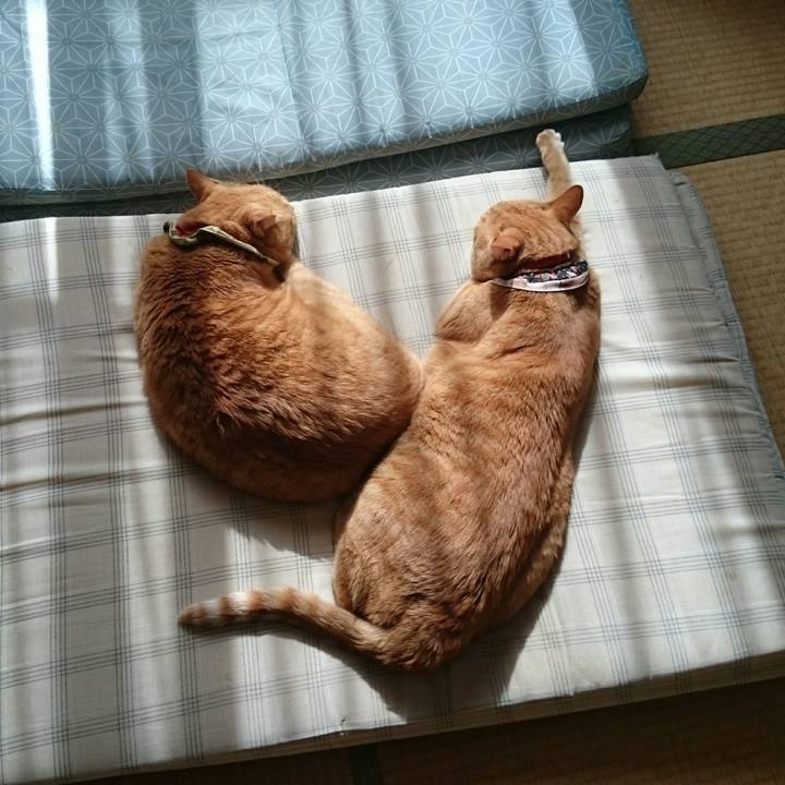 0abf5d0a 7712 4f4e 979f 77502e195a5c 1510014664169