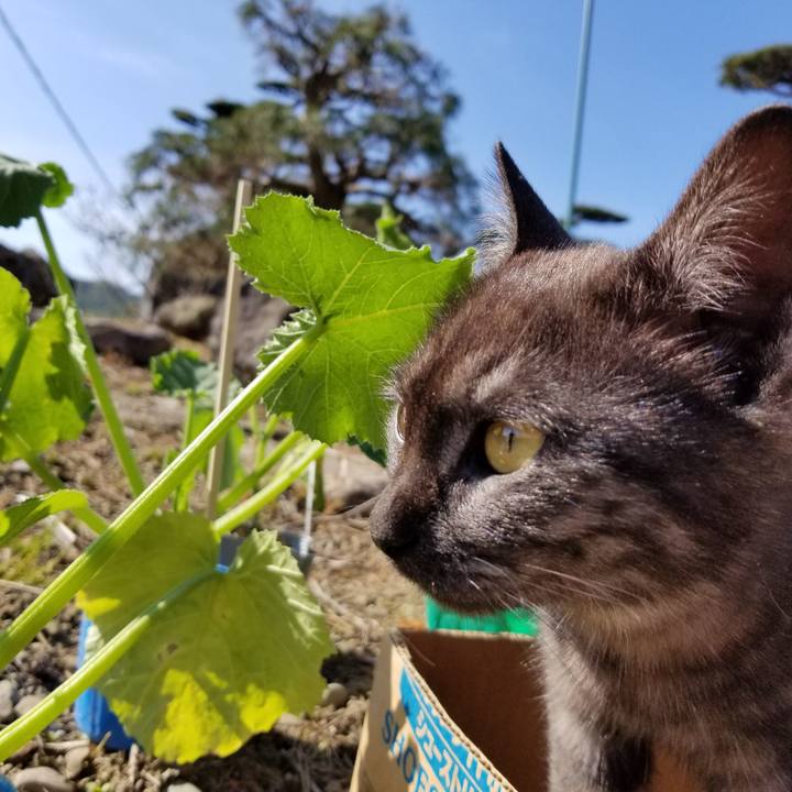 0abf6c44 f68f 4a8c 963b 0d1e7d2ca29b 1590111338535