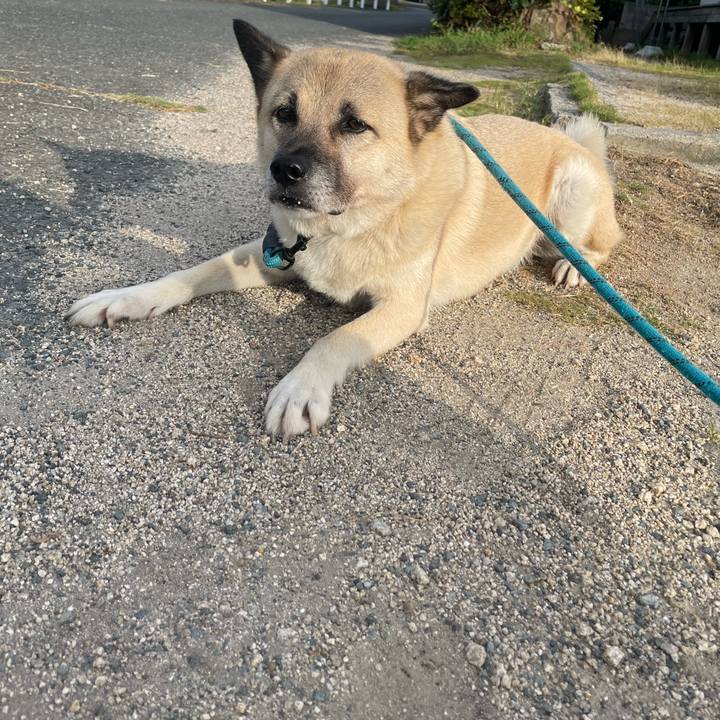 0abf8f4b 41b2 4ae9 ac0e 4f2e11286c94 1690551455728