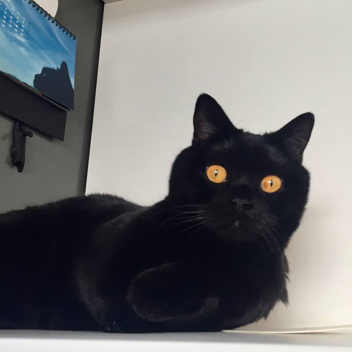 0abf987e 58be 4f1f bc7d 12455eb26c14 1555750015682