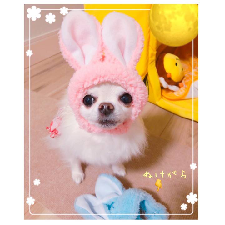 0abfc7f7 6f84 4db9 9ab2 e04c42dd6f48 1601554958830