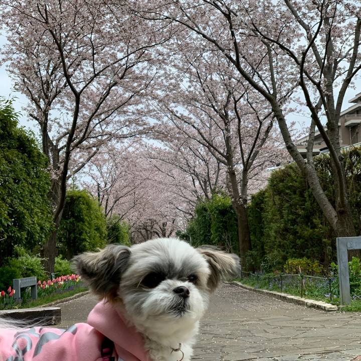 0abfeb58 df0e 405e 8e7b 01b2d7a8c141 1585559956011