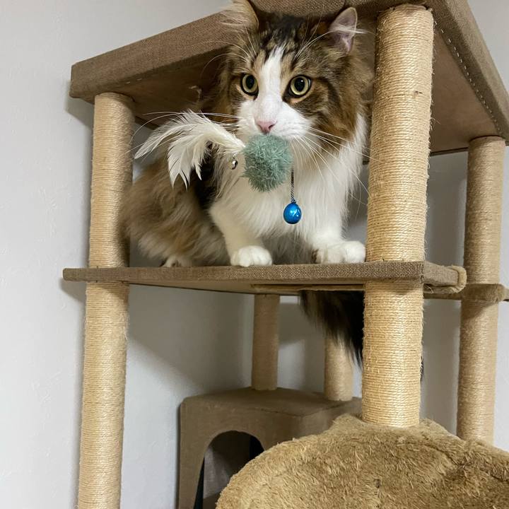 0abfedf2 563f 4524 8c4e c20db139103b 1717098690893