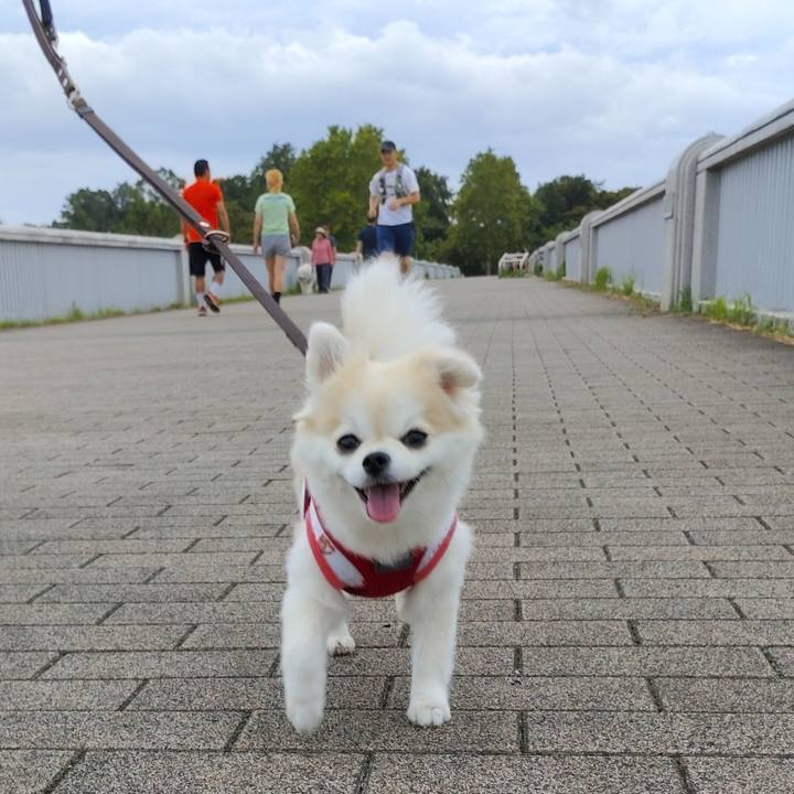 0abff284 7028 4aa1 a9b8 cc717418d973 1755007629257