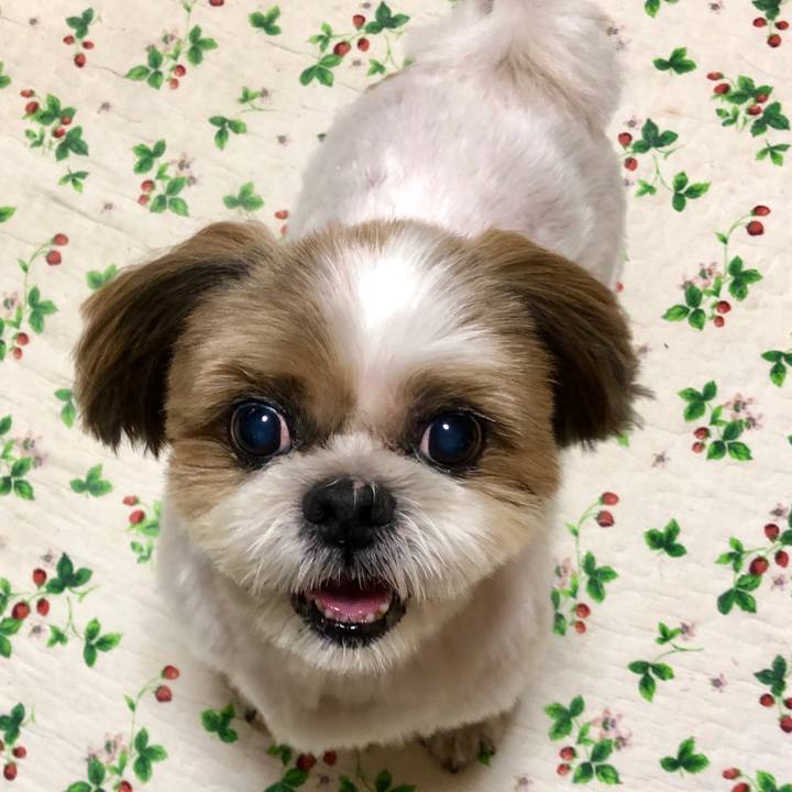 0ac02aa4 48f4 4f52 82d8 b93d053d2f8f 1568433433701