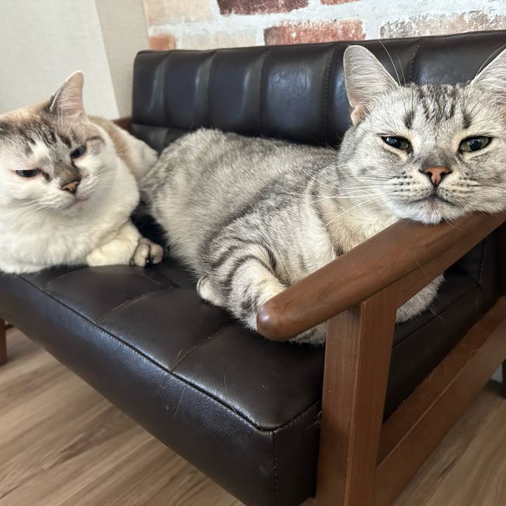 0ac031d1 8c96 4b66 8119 28566173e716 1697415532830