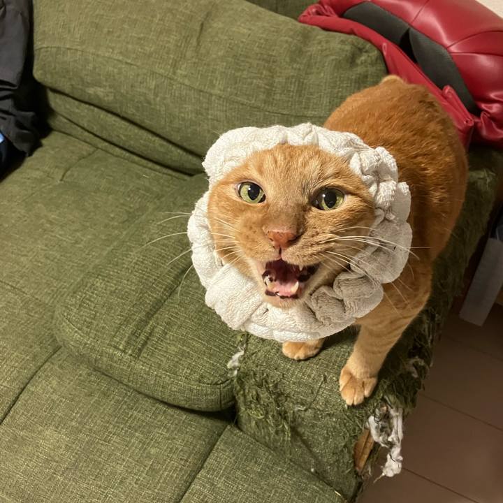 0ac05503 b592 4e20 a551 14f7ba7b22dc 1759398087375