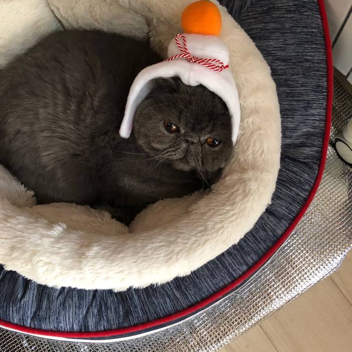 0ac05514 b040 4c3e 8021 c2c96dbc7d9c 1546391771064