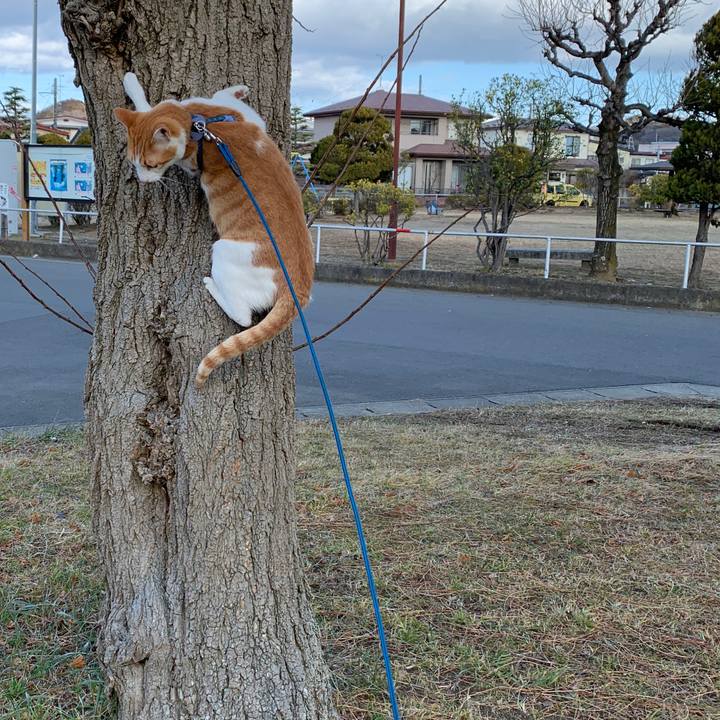 0ac05588 60bc 4314 b9b7 8dc0378b94a3 1578285923861