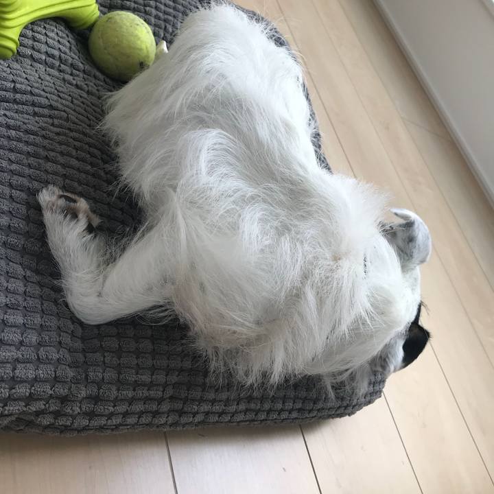 0ac06f1c 9425 4b3b b604 db6e4e10cf66 1527251748440