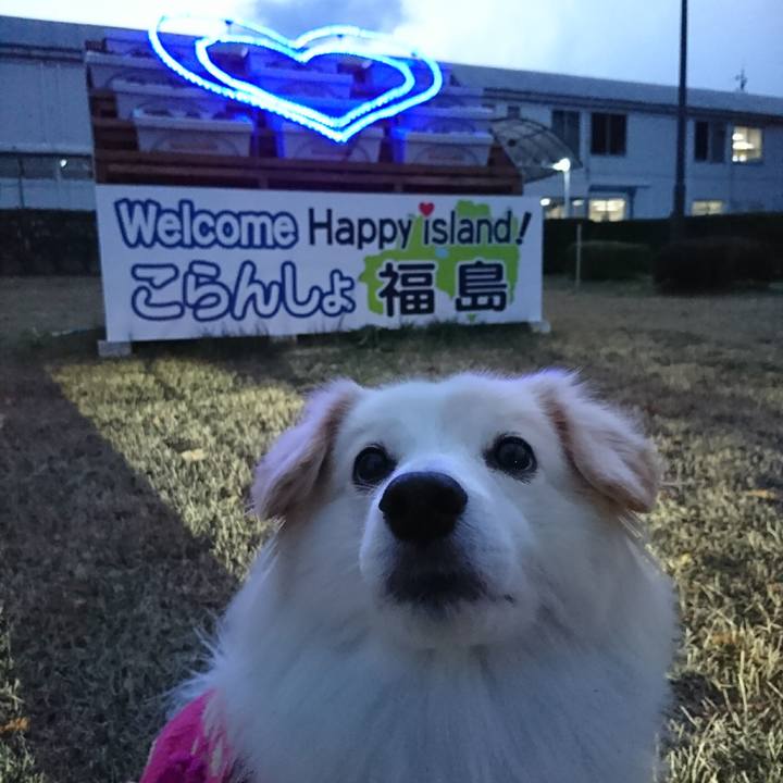 0ac07988 ddc0 4999 8a81 5b62211b80d8 1511691463166