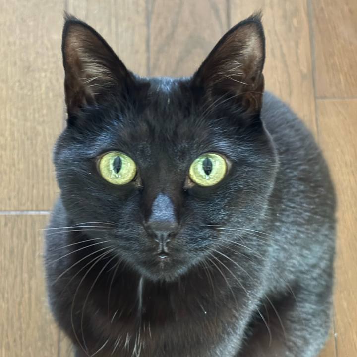 0ac088cb e205 48a2 be6f eac82e5e6098 1768614743373