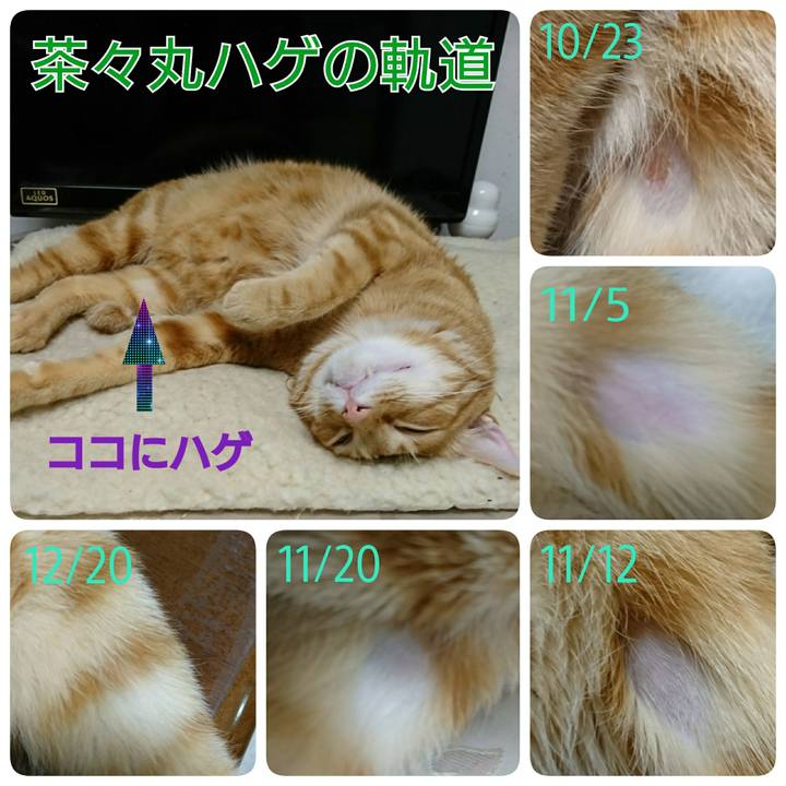 0ac0931a 3615 4985 97c5 7a9c111d030d 1546171856221