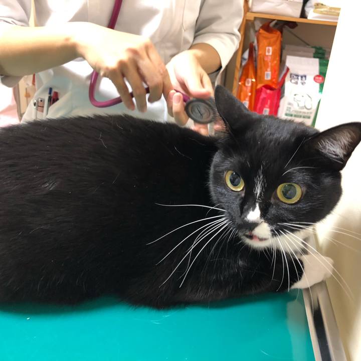 0ac09d42 3b3e 4ef9 9de3 8e5ee74ee209 1545457487944