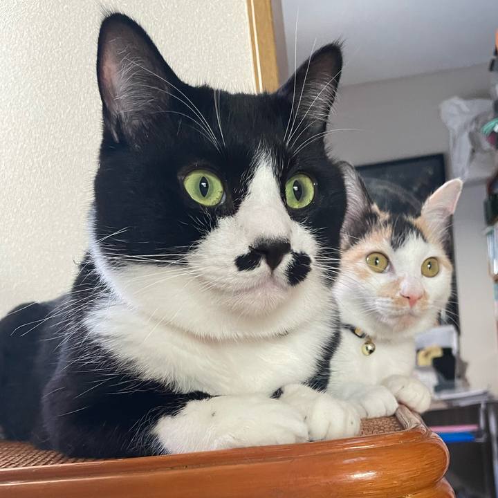 0ac0ba4a 4fa9 4303 960e 0f3255daa1d8 1664848430947