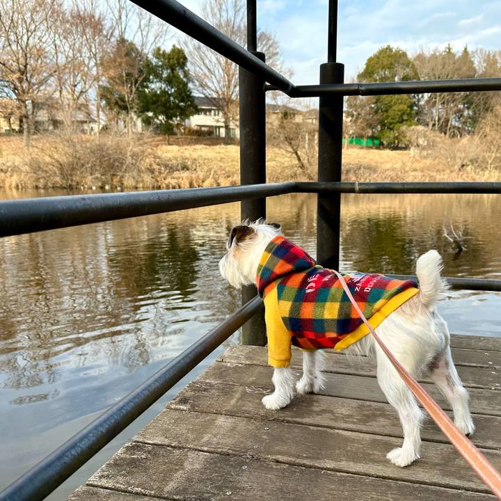 0ac0cb9a e9f6 4c35 980f aff5317d85b2 1704875246748