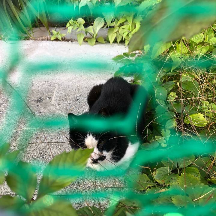 0ac0e1e7 9c14 4bbd 8735 a2bc945aaee8 1638015026648