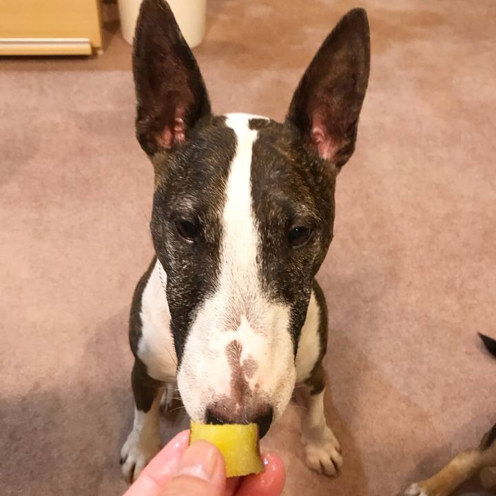 0ac0f2a8 e176 414b b16d 9b966bb859a6 1527593818850