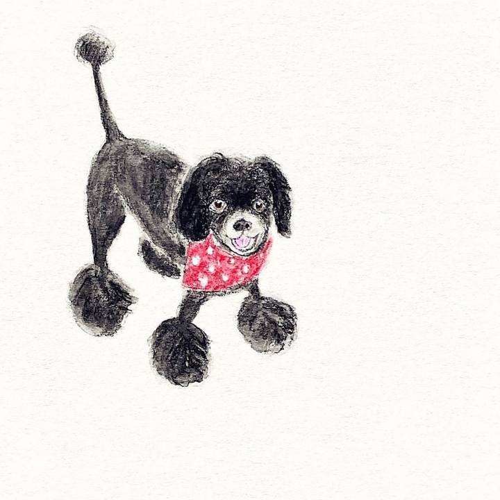 0ac10af6 045b 4efc 9383 b4bf742dee46 1658968745510