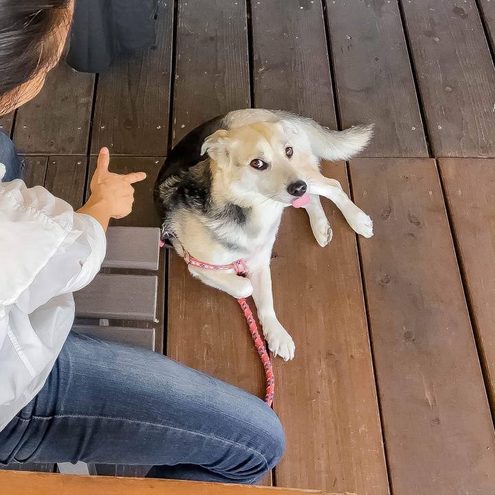 0ac11b61 5798 4e0a b7aa 2632a4e44043 1514547354724