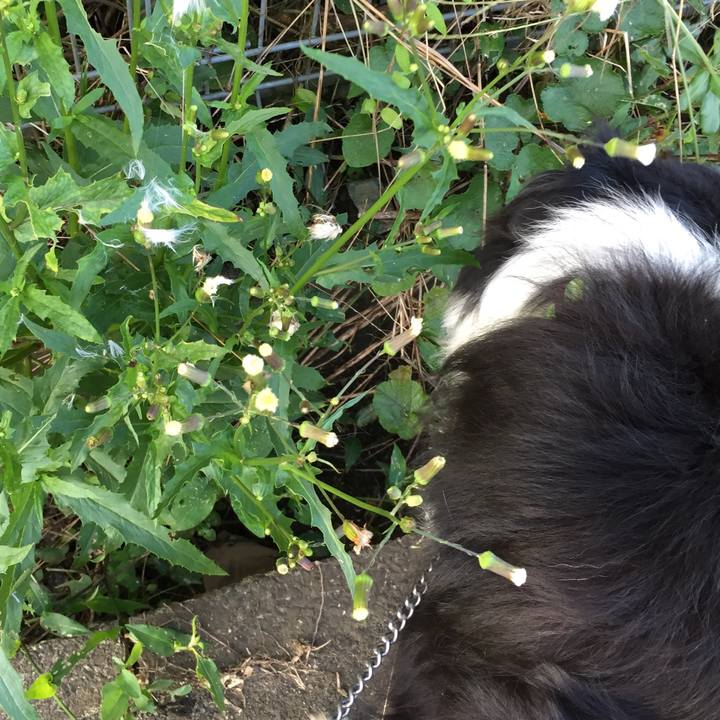 0ac15ac5 5c19 4a72 b6a8 318a520d8a25 1568333578505