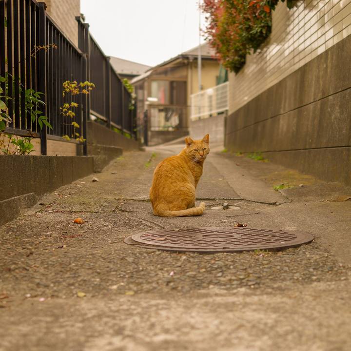 0ac18120 6ab6 4fd5 b286 7e11be8d5c0e 1554447521127